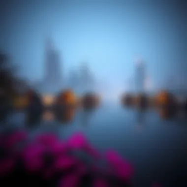 Magnificent Exploring the Lakes in Dubai: An In-Depth Analysis Magnificent Exploring the Lakes in Dubai: An In-Depth Analysis