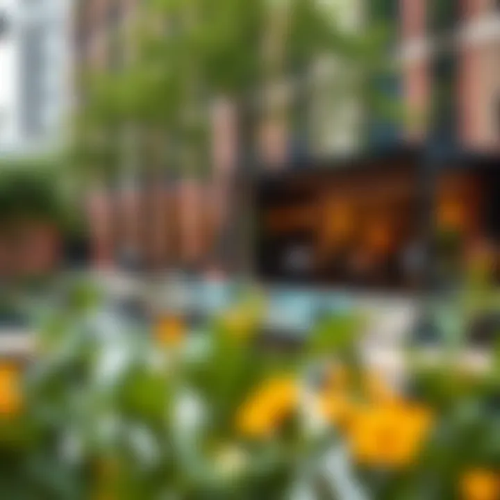 Vibrant outdoor spaces with greenery, seating areas, and community vibe