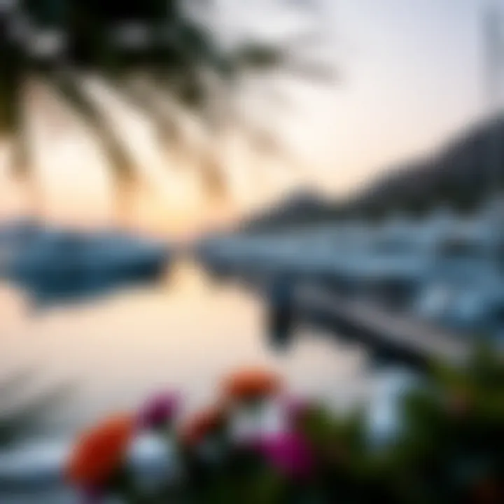 Exclusive Marina at Bvlgari Island A glimpse of the exclusive marina featuring luxury yachts and vibrant surroundings