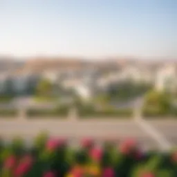 A scenic view of Damac Hills 2 showcasing its residential layout