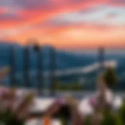 Evaluating Danube Properties Ready to Move: A Comprehensive Overview Introduction