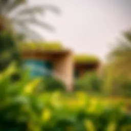 Lush greenery of Al Barsha Park