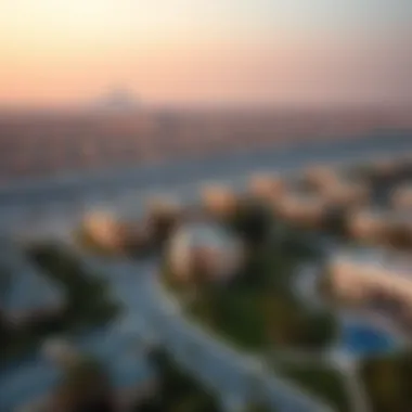 Aerial view of a luxurious residential community in Dubai