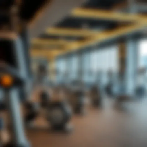 State-of-the-art fitness equipment at Al Khail Gate Gym