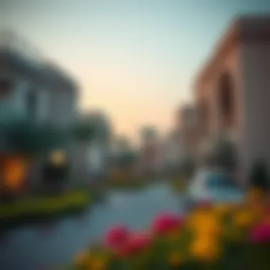 Charming streets lined with unique villas and vibrant gardens in Al Khawaneej