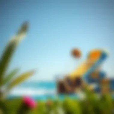 Thrilling water slides and attractions at Al Montazah Water Park