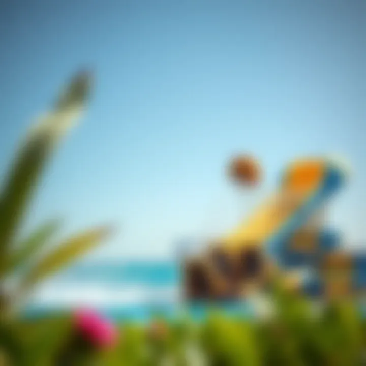 Thrilling water slides and attractions at Al Montazah Water Park