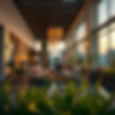 Vibrant lifestyle at Jumeirah Park Pavilion