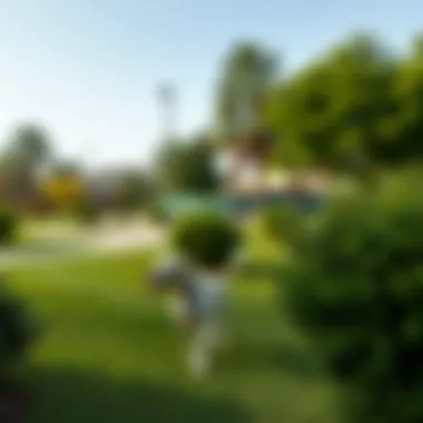 A stunning view of a dog park in Dubai with lush greenery