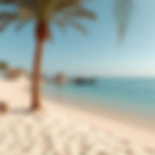 Secluded beach in Dubai with clear waters and soft sand