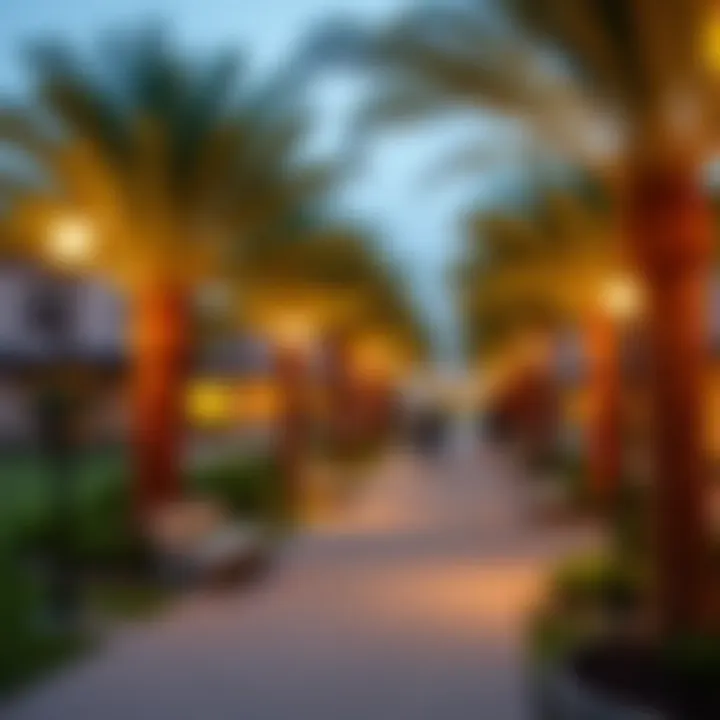 Vibrant community park in روضة البرشاء