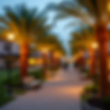 Vibrant Community Park in روضة البرشاء Vibrant community park in روضة البرشاء