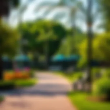 Vibrant Community Park in Discovery Gardens Vibrant community park in Discovery Gardens with lush greenery