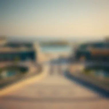 Exploring Saadiyat Island: A Comprehensive Overview Summary Exploring Saadiyat Island: A Comprehensive Overview Summary