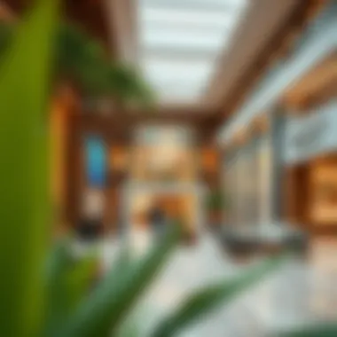 Integrating Leisure at سنشري مول Leisure and lifestyle section within سنشري مول