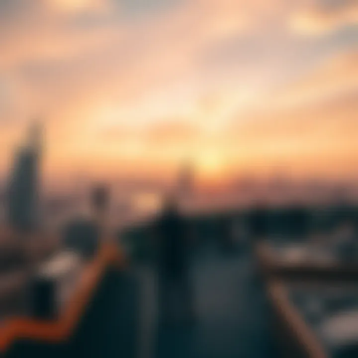 View from a high vantage point showcasing Dubai's urban beauty