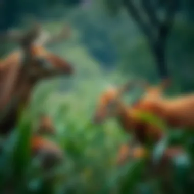 Wildlife thriving in the eco-diverse environment of بحيرة القدرة