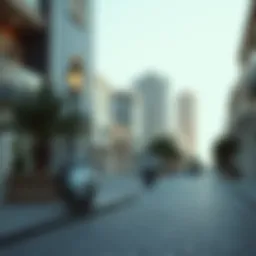 Exploring the Dynamics of Dubai's Neighborhoods Introduction