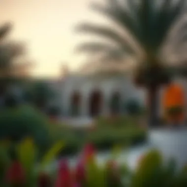 Historical landscape of Al-Ain Oasis, a cultural gem within Dubai