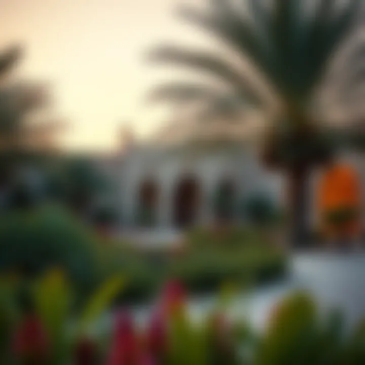 Historical landscape of Al-Ain Oasis, a cultural gem within Dubai