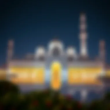 The magnificent Sheikh Zayed Grand Mosque