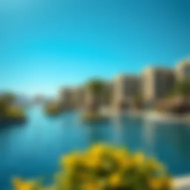 Exploring the Lakes in Dubai: An In-Depth Analysis Summary Exploring the Lakes in Dubai: An In-Depth Analysis Summary