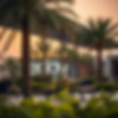 Vibrant Community Spaces in Meadow Dubai Vibrant community spaces in Meadow Dubai