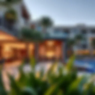 Luxurious Lifestyle Amenities in Meadow Dubai Luxurious lifestyle amenities in Meadow Dubai