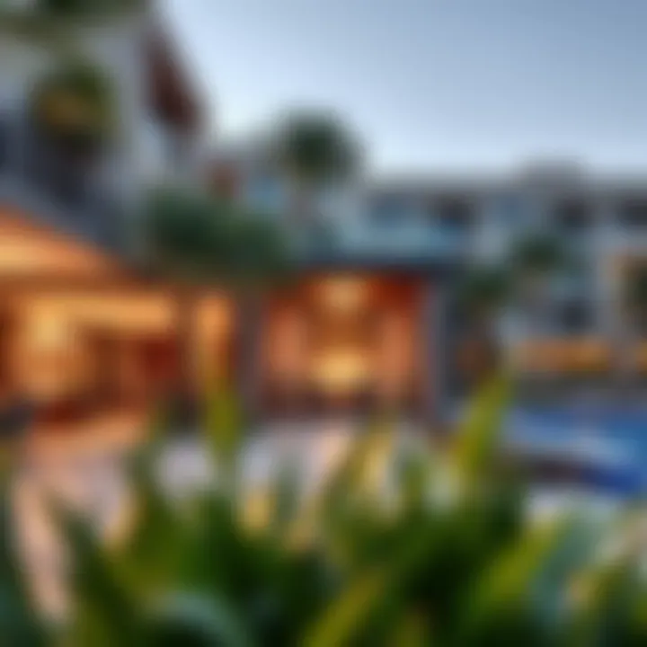 Luxurious Lifestyle Amenities in Meadow Dubai Luxurious lifestyle amenities in Meadow Dubai