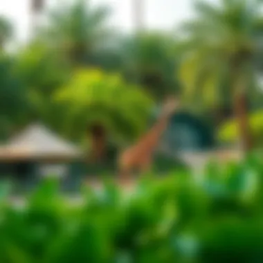 Lush greenery of the Emirates Park Zoo, a family-friendly destination