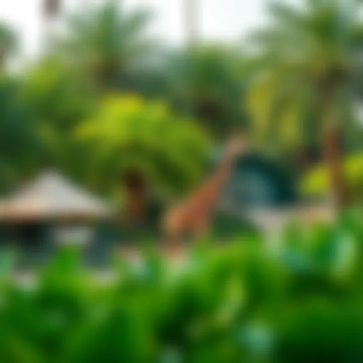 Lush greenery of the Emirates Park Zoo, a family-friendly destination