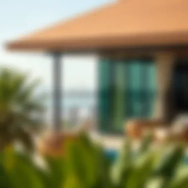 Understanding Eligibility for UAE Visas Eligibility criteria for UAE visas