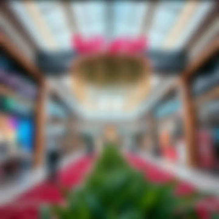 Village Mall Mussafah: A Hub for Community Engagement Local community events held at Village Mall Mussafah