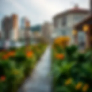 Exploring the Pathways of Farzi City Scenic pathway inviting urban exploration