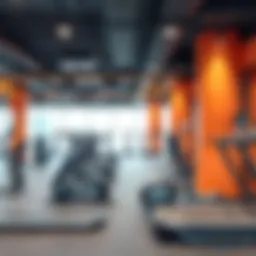 Vibrant workout area featuring advanced fitness equipment