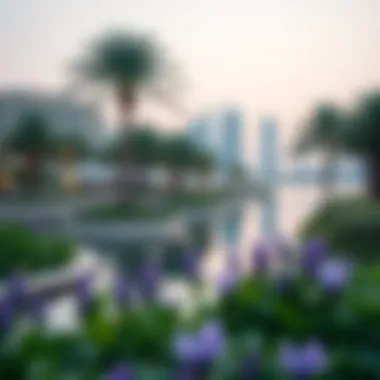 A scenic view of Dubai's waterfront park showcasing urban green spaces