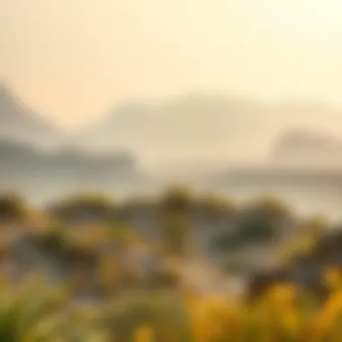 Beautiful natural landscapes surrounding Mamzar Sharjah