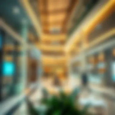 Business opportunities in Silicon Oasis