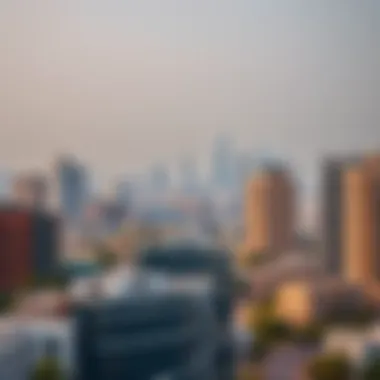 Diverse Neighborhoods in Dubai Dubai skyline showing various neighborhoods