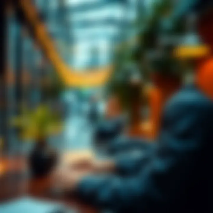 An overview of various online platforms for labour contracts