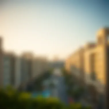 Comprehensive Overview of the Housing Initiative Overview of the Sheikh Zayed Housing Program