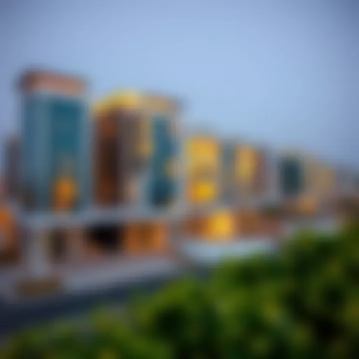 Notable The Dynamics of VIP Real Estate in Dubai