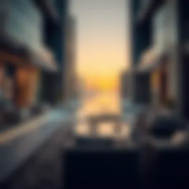 The Dynamics of VIP Real Estate in Dubai Summary