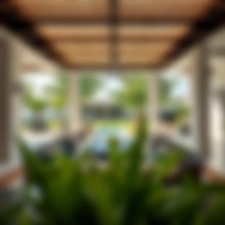 Spacious outdoor area of a Dubai farmhouse with lush greenery