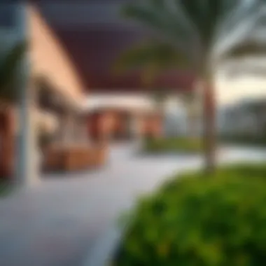 Lifestyle Amenities in Tilal Swaihan Community park in Tilal Swaihan illustrating lifestyle amenities