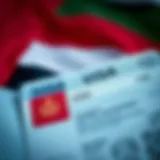 UAE Residence Visa Overview Visual representation of the UAE flag alongside a visa document