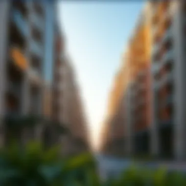 Modern residential buildings in Jumeira Village Circle