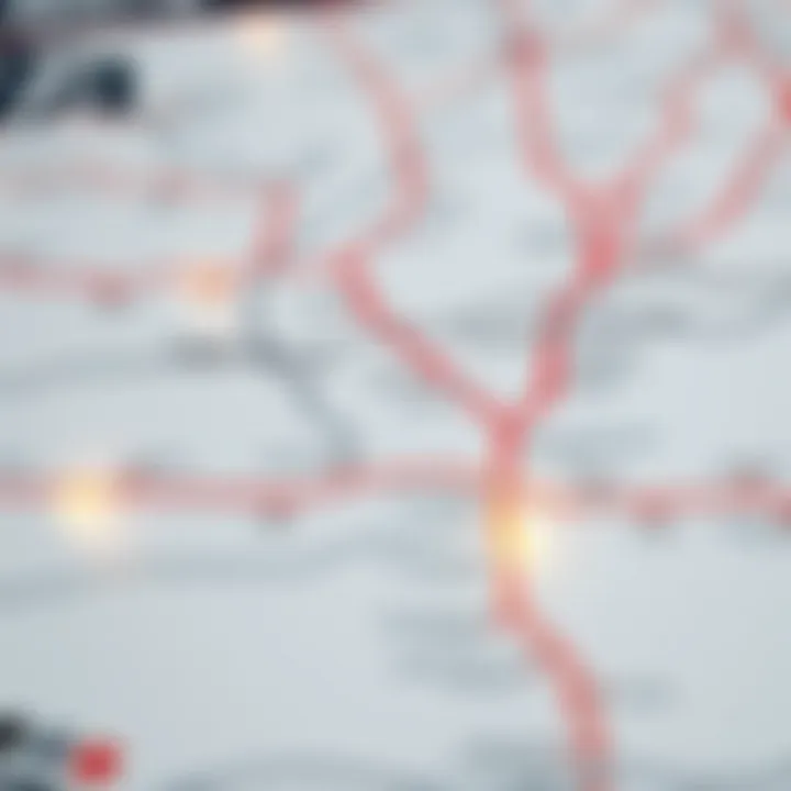 Map of Dubai Metro routes and stations
