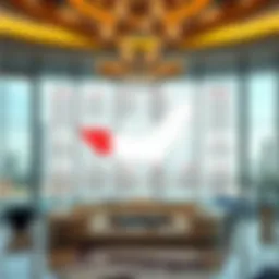 Detailed infographic of UAE visa categories