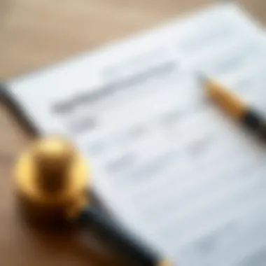 Application Form Guide Navigating the husband visa application form
